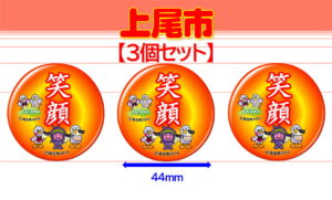 AGEO-11