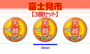 FUJIMI-11