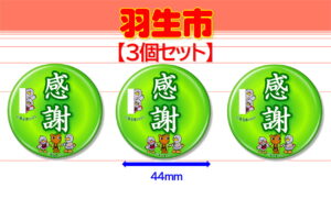 HANYU-10