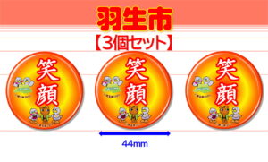HANYU-11