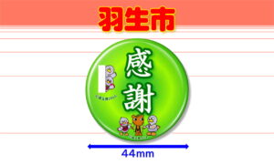 HANYU-4