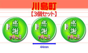 KAWAJIMA-10