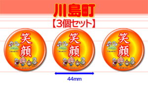 KAWAJIMA-11