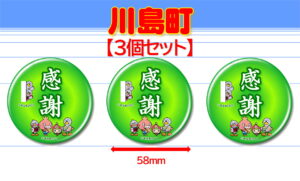 KAWAJIMA-7