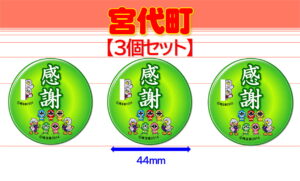 MIYASHIRO-10