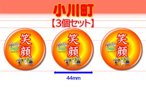 OGAWA-11