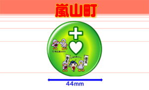 RANZAN-6