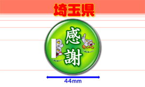 SAITAMA-4