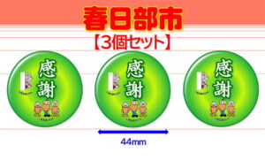 SOKA-10