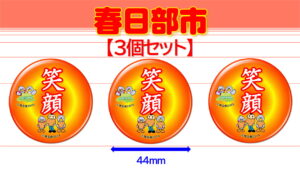 SOKA-11