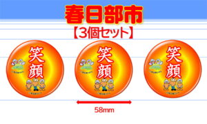 SOKA-8
