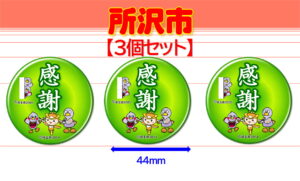 TOKOROZAWA-10