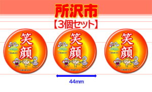 TOKOROZAWA-11