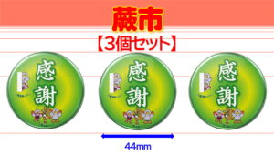 WARABI-10