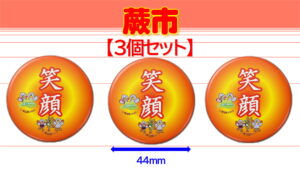 WARABI-11