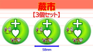 WARABI-12