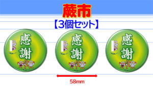 WARABI-7